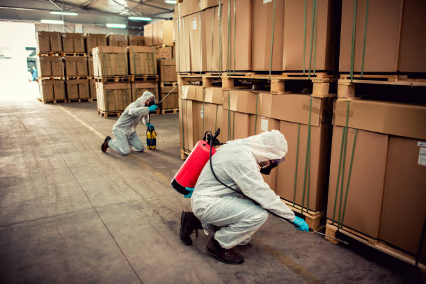 Best Local Pest Control Services  in Streamwood, IL