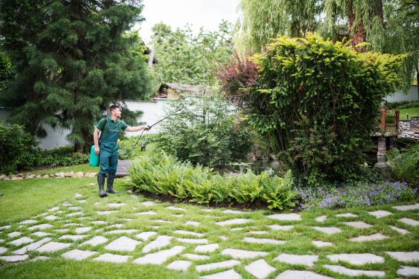 Best Wasp Removal Services  in Streamwood, IL