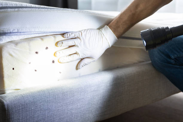 Best Pest Inspection Near Me  in Streamwood, IL