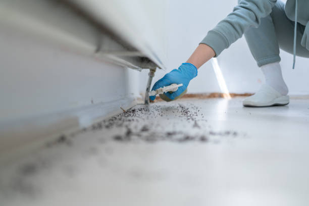 Best Pest Control for Restaurants  in Streamwood, IL